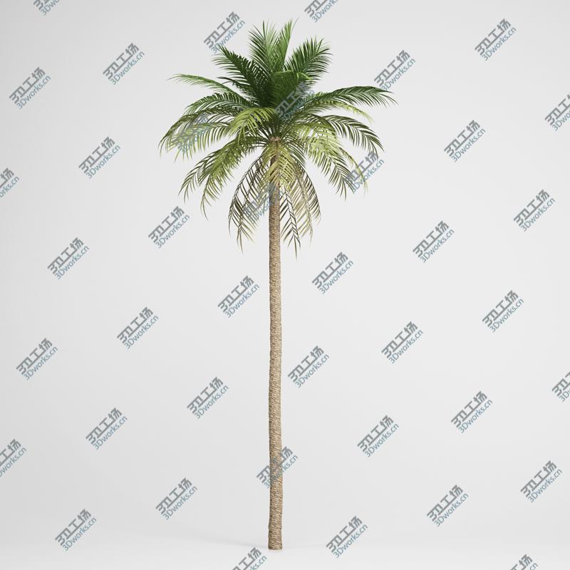 images/goods_img/2021040231/CGAxis Date Palm 03/1.jpg